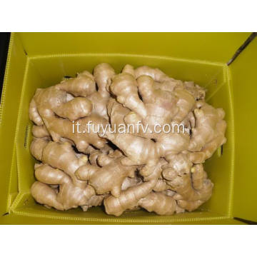 Ginger essiccato all&#39;aria 200 g